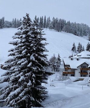 Exterior - Holiday apartment with 1 bedroom (Todtnauberg \/ Schwarzwald)