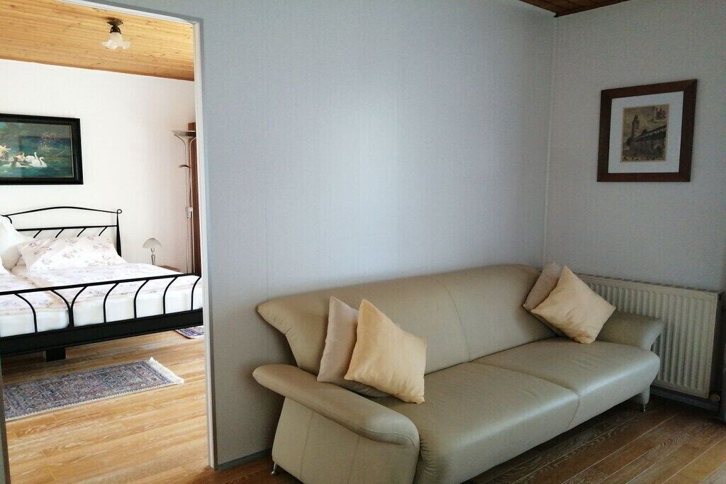 Smart-TV, Bücher