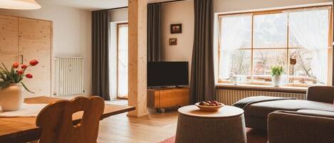 Smart TV, fireplace, books