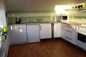 A compact kitchen with a dishwasher, microwave, sink, and oven. - Holiday apartment with 2 bedrooms (Wangen)