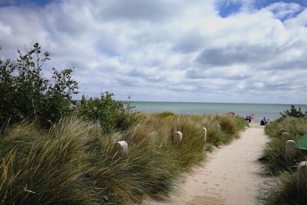 Ein Sandweg am Strand, gesäumt von Gras, der zum Meer führt.