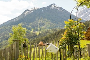 A wooden fence with a birdhouse, a hanging bucket, and a vine-covered trellis in a rural setting with a mountain in the background. - Holiday apartment with 1 bedroom (Telfes im Stubaital)