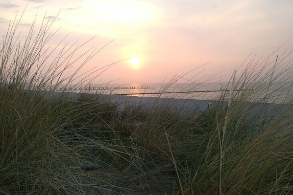 A sunset over a beach with tall grasses in the foreground and a pier extending into the water. - Holiday home in Zingst with swimming pool (Zingst)