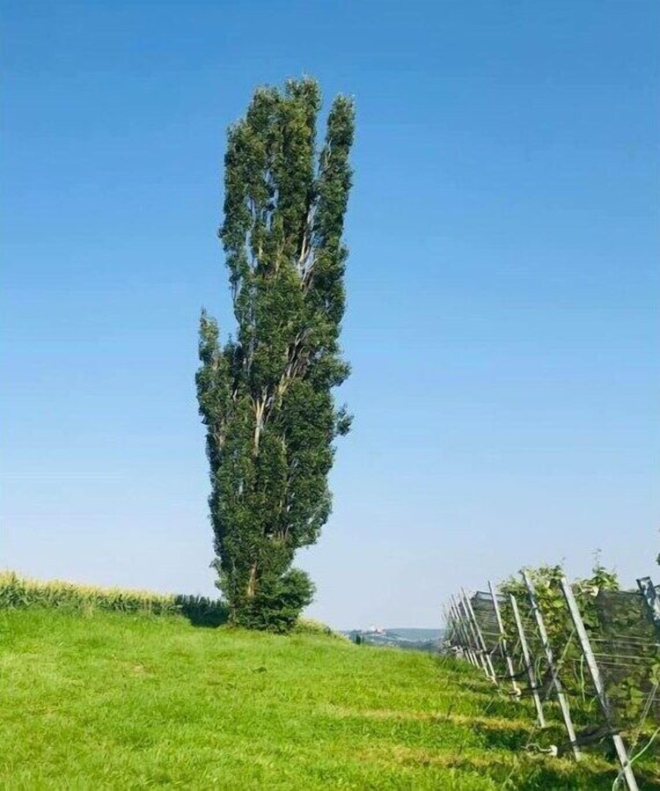 Unterkunftsgelände