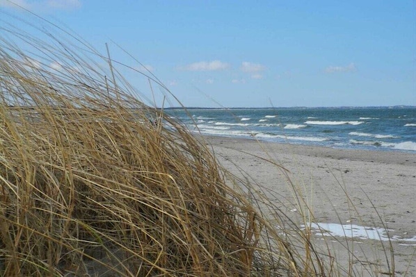 Ein Strand mit Sand und Wellen, im Vordergrund hohes Gras.