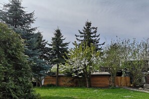 A backyard with a wooden cabin, evergreen trees, and a stone wall. - Holiday home in Wiek with swimming pool (Wiek)