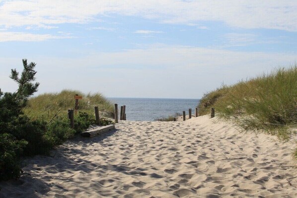 Ein sandiger Küstenpfad führt zum Meer, umgeben von Vegetation.