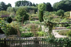 Ein Garten mit Teich, Holzfence und verschiedenen Pflanzen.