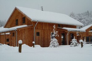 A wooden cabin with a snow-covered roof and a front porch. - Cabin with 1 bedroom (Stadl an der Mur)