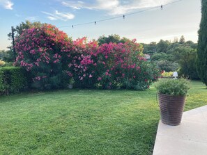 A well-maintained garden with a variety of flowering plants and a neatly trimmed lawn. - Beautiful contemporary architect-designed home with a pool and garden set amid the garrigue (Nîmes)