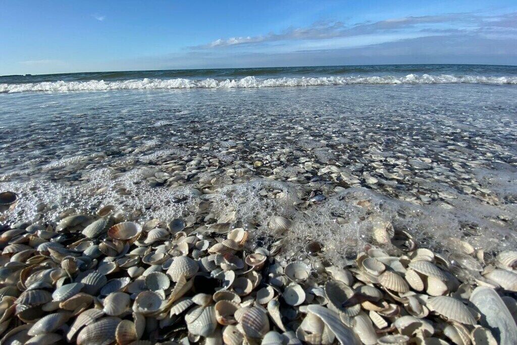 Playa