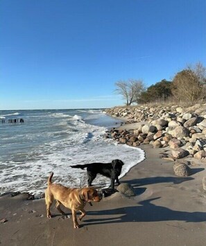 Am Strand