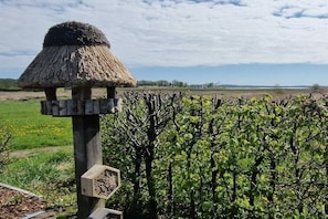 Ein Weinberg mit einer Holzhütte mit einem Reetdach und einem Bienenstock.