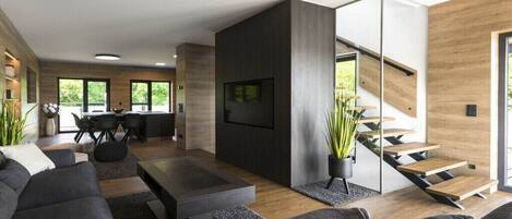 Smart TV, fireplace, DVD player, books