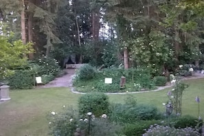 Ein Garten mit unterschiedlichen Pflanzen und Bäumen, einem Pfad und einer kleinen Struktur.