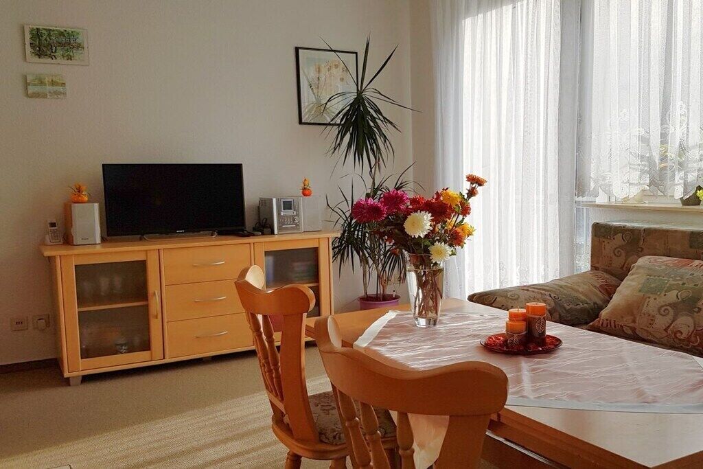 Smart-TV, DVD-Player, Bücher, Stereoanlage