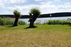 Eine Wiese mit zwei Bäumen und einem Gewässer im Hintergrund.