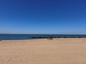 Beach - Beachside Living : Furnished Willoughby Spit Condo (Norfolk)