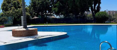 A clear blue swimming pool with a brick accent wall, surrounded by trees and a clear sky.