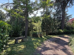 A natural setting with a gravel path, a stone bench, and various trees and shrubs. - Los Arcos | Two renovated houses for 15 people. 4-legged friends too! (Annonay)