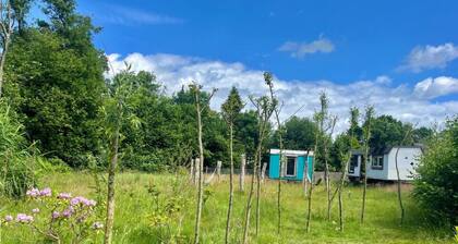 Auszeit in der Natur
