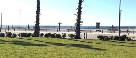 A grassy area with palm trees, a pathway, and a view of the sea.