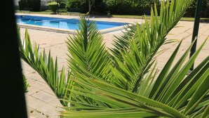 Une piscine entourée de verdure, avec des bâtiments en arrière-plan.
