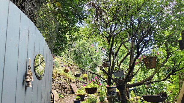 Un jardín con plantas en macetas, cestas colgantes y un edificio azul.