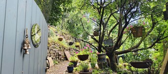 Woodland Cottage Sleeps 5-pet Friendly, Long Stays