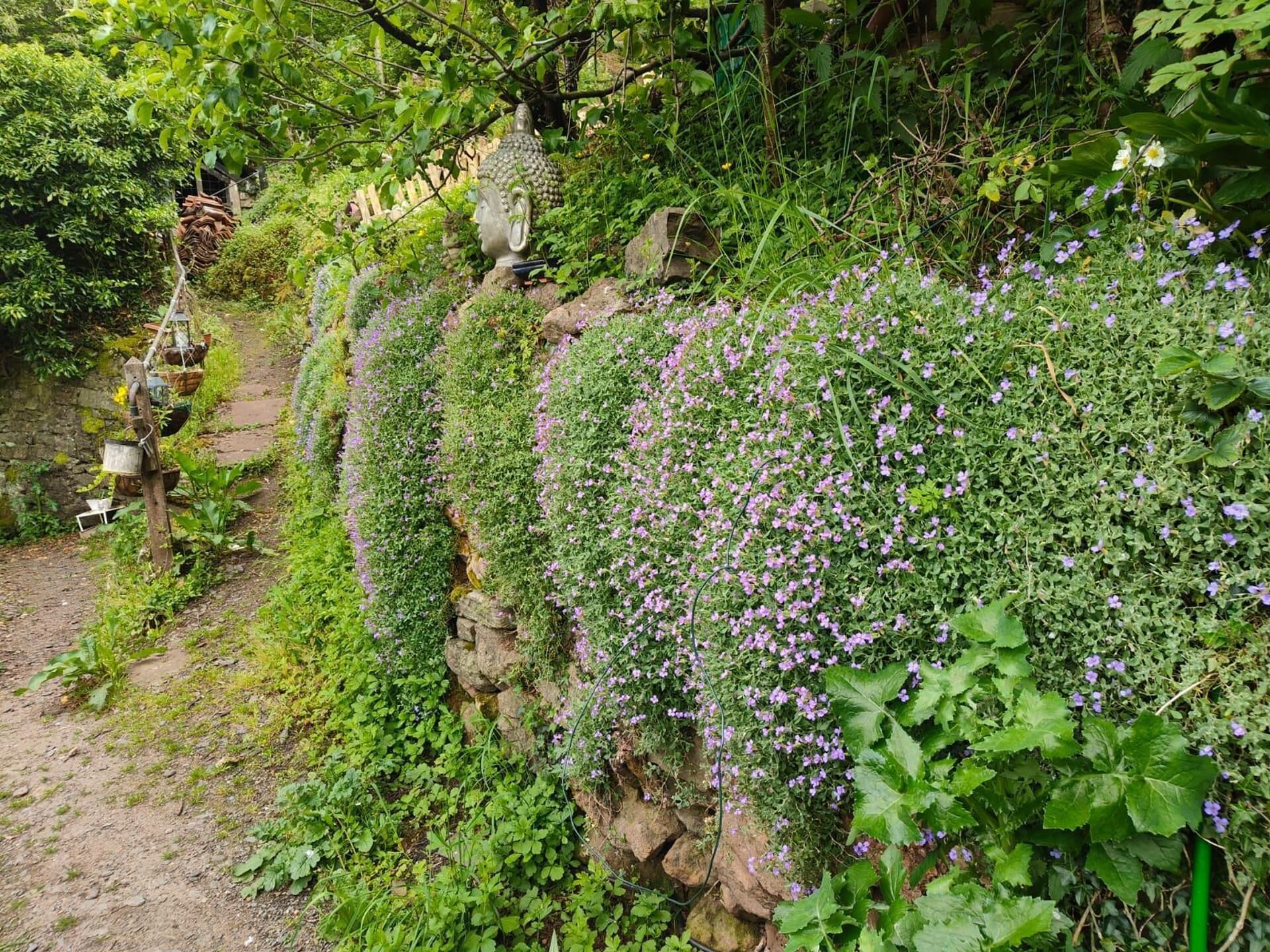 Un giardino con un muro di pietra, piante rampicanti e una statua.