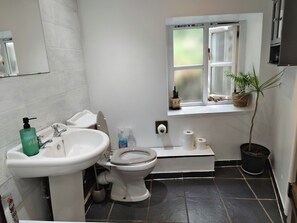 A bathroom with a sink, toilet, and window. - Tranquil Woodland Cottage by River Wye (Lydbrook)