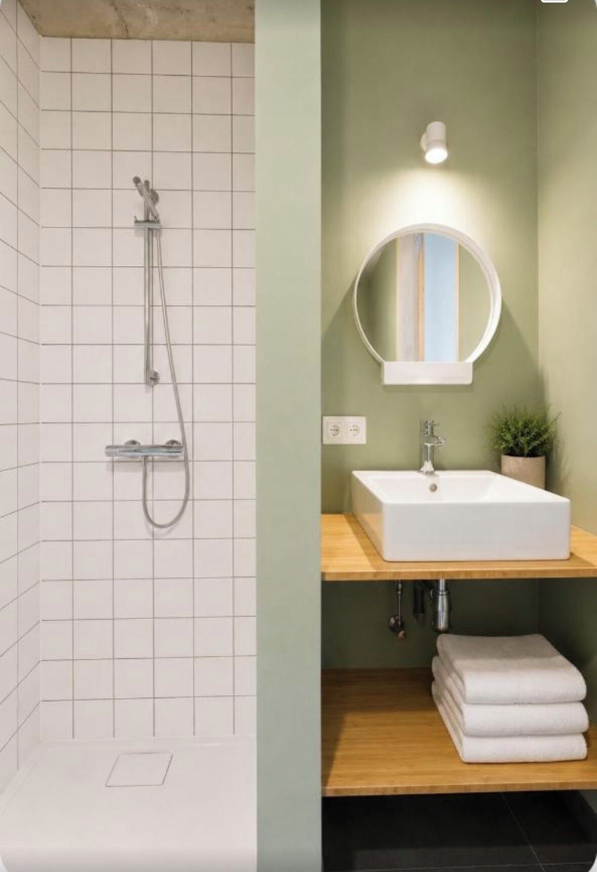 A bathroom with a shower, a sink with a mirror, and a plant.