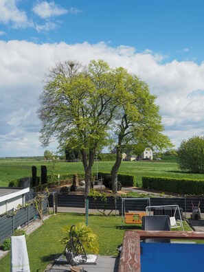 Una zona residencial con un árbol grande, una piscina y un campo cubierto de césped.