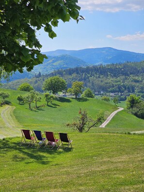Une colline herbeuse avec un sentier de terre, trois chaises rouges et bleues, et une vue sur une vallée parsemée d’arbres et de maisons.