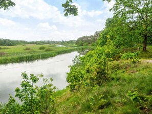 Ein Fluss, gesäumt von üppiger Vegetation und Bäumen.