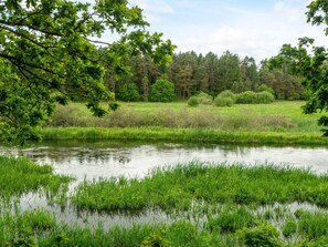 Ein ruhiger Teich, umgeben von üppigem Grün und Bäumen.