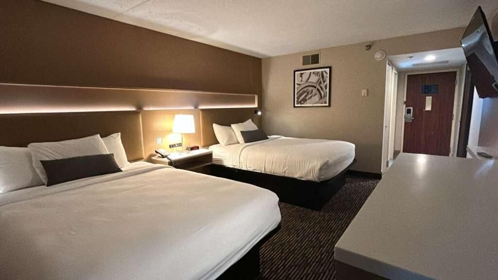Standard Double Room, City View | Desk, laptop workspace, free WiFi