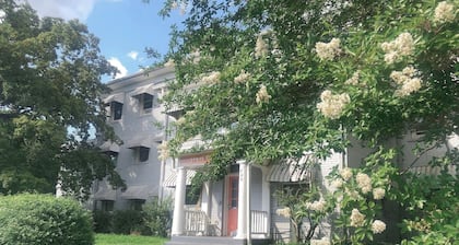 Spacious 1 bedroom apartment with 2 queen bed in charming Eden