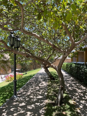 Terrace/patio - Akirá Pousada (Aquiraz)