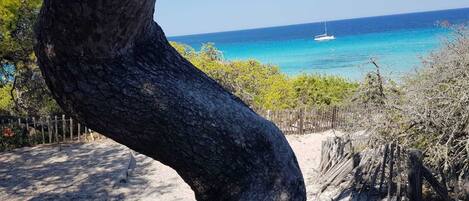 海灘