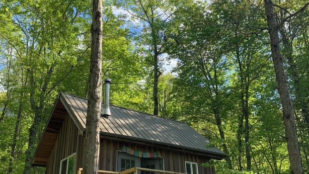 Eine Holzhütte mit Metallbedachung, umgeben von Bäumen, und eine Holzterrasse mit Stühlen.