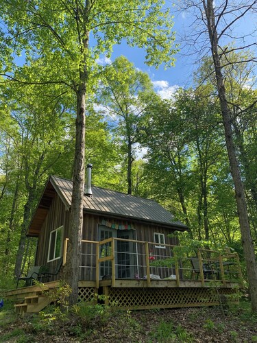 Secluded Tiny Cabin on 7 Private Wooded Acres - Retreat, Disconnect & Stargaze
