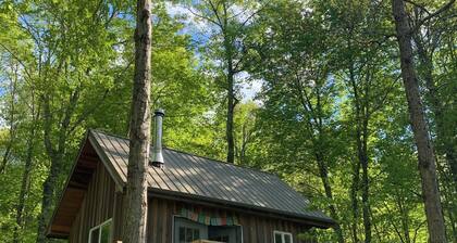 Secluded Tiny Cabin on 7 Private Wooded Acres - Retreat, Disconnect & Stargaze