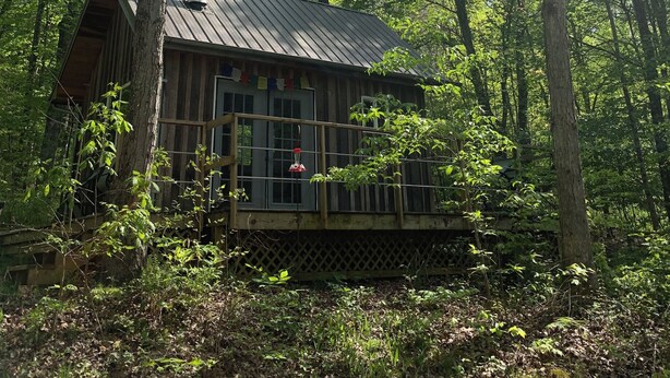 A cabin surrounded by trees with a metal roof and wooden walls.