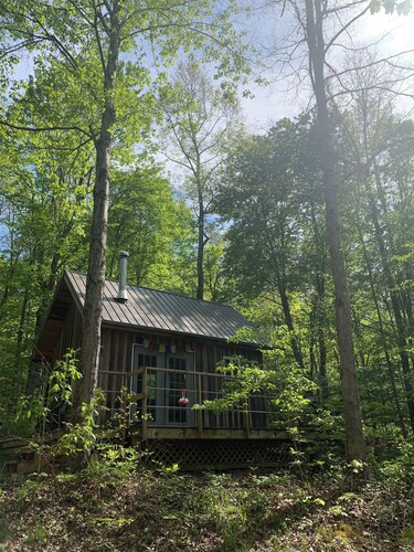 Secluded Tiny Cabin on 7 Private Wooded Acres - Retreat, Disconnect & Stargaze