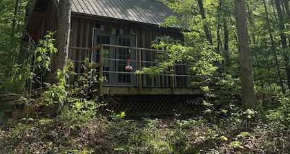 Secluded Tiny Cabin on 7 Private Wooded Acres - Retreat, Disconnect & Stargaze