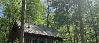 Secluded Tiny Cabin on 7 Private Wooded Acres - Retreat, Disconnect & Stargaze