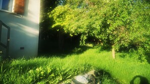 Uma casa com janela aparente e uma árvore no quintal.