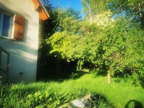 Ein Haus mit Fenster und Baum im Vorgarten.