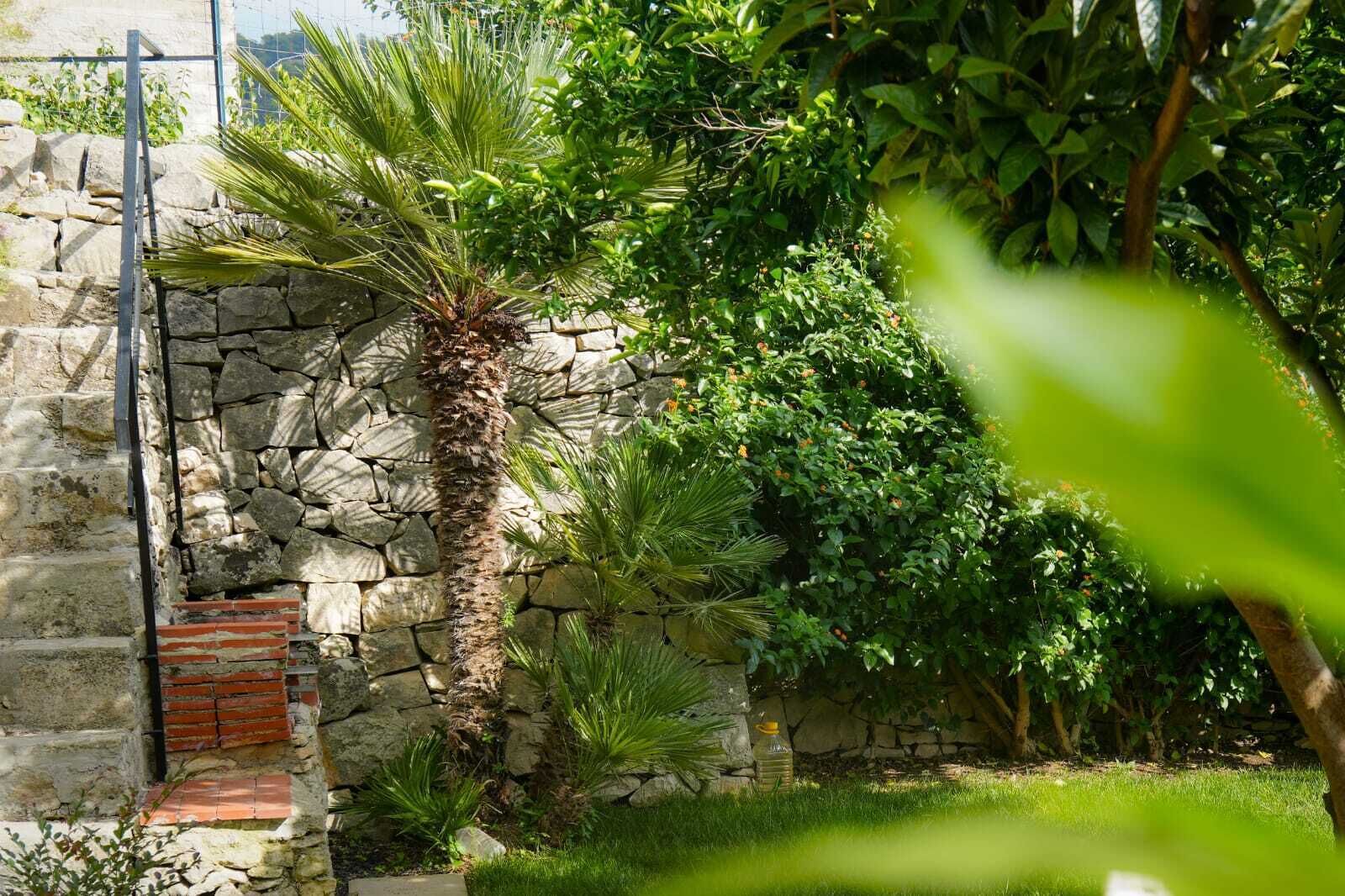 Un muro de piedra con una palmera, follaje denso y una estructura de ladrillo.